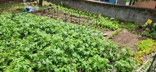 이인구님의 자유주제 · 자유게시판 작성글 사진