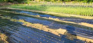 이인구님의 자유주제 · 자유게시판 작성글 사진