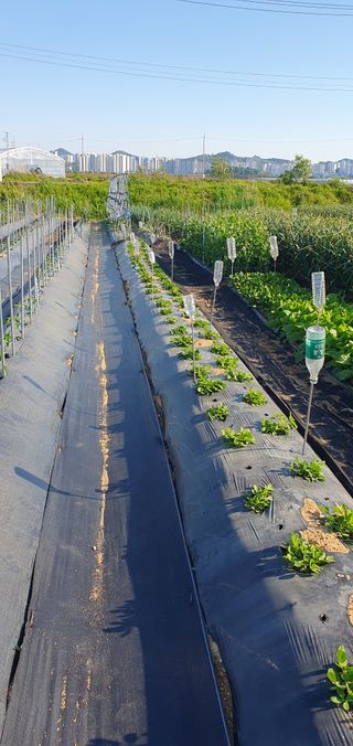 김익중님의 자유주제 · 자유게시판 작성글 사진