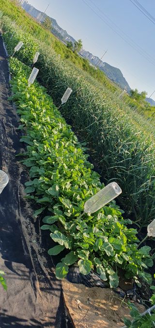 김익중님의 자유주제 · 자유게시판 작성글 사진