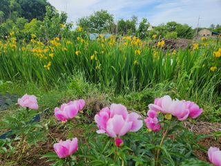 전주치유농정명숙님의 자유주제 · 사진전 작성글 사진