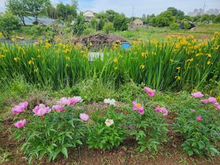 전주치유농정명숙님의 자유주제 · 사진전 작성글 사진