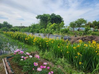 전주치유농정명숙님의 자유주제 · 사진전 작성글 사진