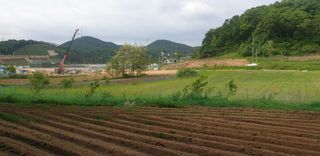 승승장구님의 파 · 영농일지 작성글 사진