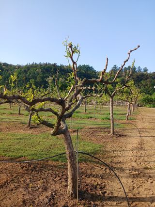 초보 일꾼님의 농사, 무엇이든 물어보세요! · 참여글 작성글 사진