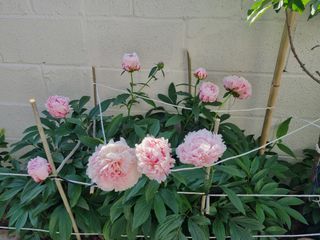 이지환님의 자유주제 · 자유게시판 작성글 사진