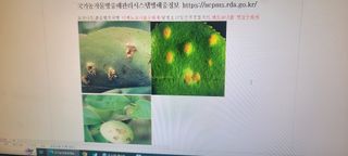 이상준님의 농사, 무엇이든 물어보세요! · 참여글 작성글 사진