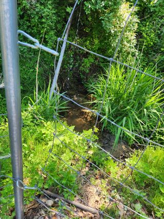 고영희님의 오이 · 영농일지 작성글 사진