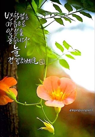 관우성님의 자유주제 · 자유게시판 작성글 사진