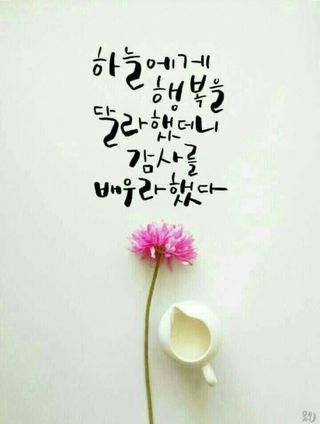 관우성님의 자유주제 · 자유게시판 작성글 사진