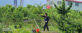 황동 여순모님의 상추 · 영농일지 작성글 사진