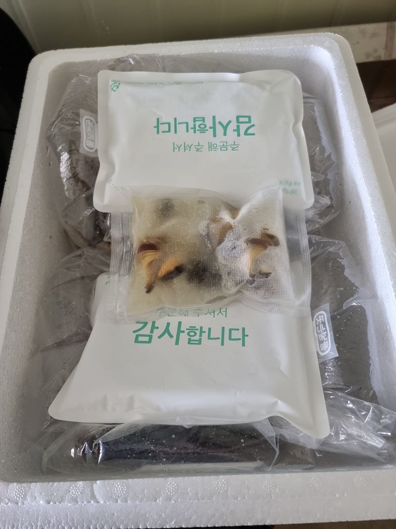 무안정농장님의 장터 판매 상품 [무안 뻘낙지 한접 소중대 섞어서20마리] 첨부 사진