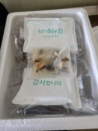 무안정농장님의 작성글 사진