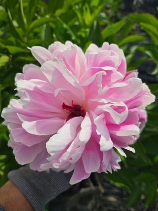 콩18222님의 자유주제 · 자유게시판 작성글 사진