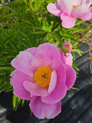 콩18222님의 자유주제 · 자유게시판 작성글 사진