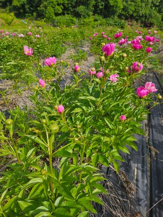 콩18222님의 자유주제 · 자유게시판 작성글 사진