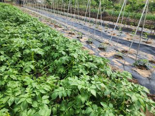 조용오님의 자유주제 · 자유게시판 작성글 사진