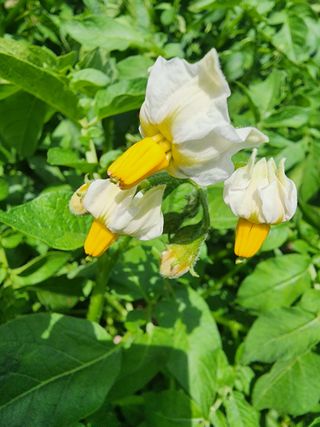 조용오님의 자유주제 · 자유게시판 작성글 사진