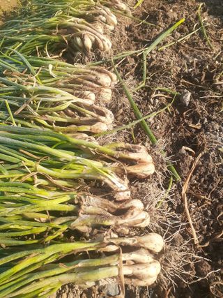 황석면님의 자유주제 · 자유게시판 작성글 사진