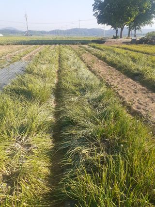 황석면님의 자유주제 · 자유게시판 작성글 사진