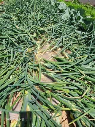 김시내 님의 자유주제 · 사진전 작성글 사진