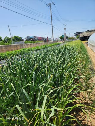 김시내 님의 자유주제 · 사진전 작성글 사진