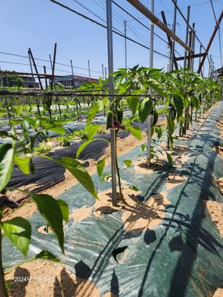 김시내 님의 자유주제 · 사진전 작성글 사진