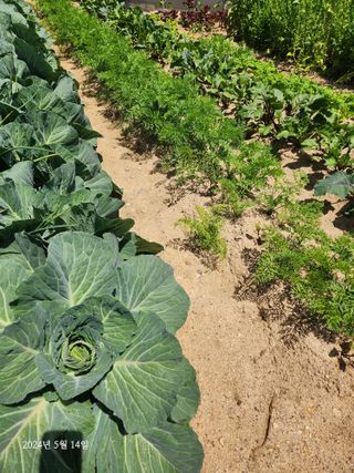 김시내 님의 자유주제 · 사진전 작성글 사진