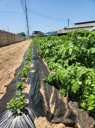 김시내 님의 자유주제 · 사진전 작성글 사진