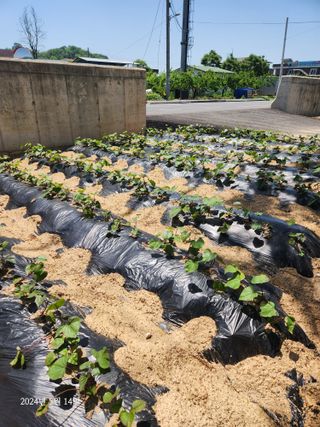 김시내 님의 자유주제 · 사진전 작성글 사진