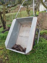 팜모닝 고추·영농일지 게시글 이미지