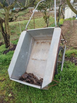 남면조재관님의 고추 · 영농일지 작성글 사진