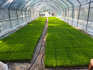 착한농부 안병하님의 팜이웃과 출근/퇴근 같이해요! · 참여글 작성글 사진