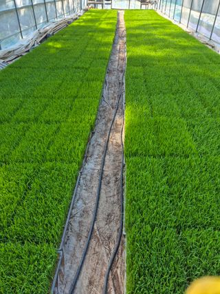 착한농부 안병하님의 팜이웃과 출근/퇴근 같이해요! · 참여글 작성글 사진