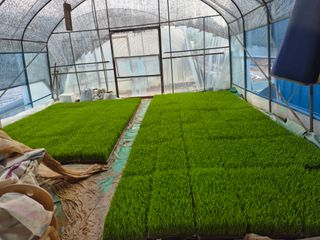 착한농부 안병하님의 팜이웃과 출근/퇴근 같이해요! · 참여글 작성글 사진