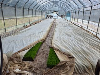 착한농부 안병하님의 팜이웃과 출근/퇴근 같이해요! · 참여글 작성글 사진