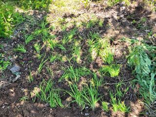 김응택님의 팜이웃과 출근/퇴근 같이해요! · 참여글 작성글 사진