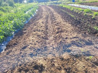 김응택님의 팜이웃과 출근/퇴근 같이해요! · 참여글 작성글 사진