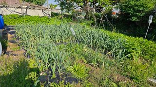 삼례텃밭지기님의 자유주제 · 자유게시판 작성글 사진