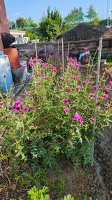 팜모닝 자유주제·자유게시판 게시글 이미지