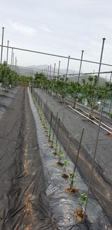 팜모닝 팜이웃과 출근/퇴근 같이해요!·참여글 게시글 이미지