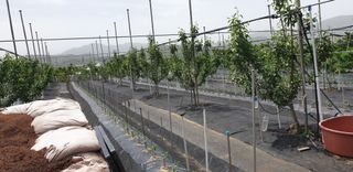 자인면 박덕상님의 팜이웃과 출근/퇴근 같이해요! · 참여글 작성글 사진