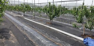 자인면 박덕상님의 팜이웃과 출근/퇴근 같이해요! · 참여글 작성글 사진