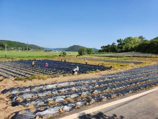 갈마골님의 팜이웃과 출근/퇴근 같이해요! · 참여글 작성글 사진