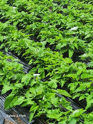 장애경님의 작성글 사진