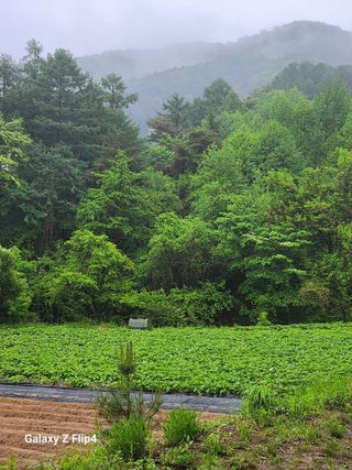 장애경님의 작성글 사진