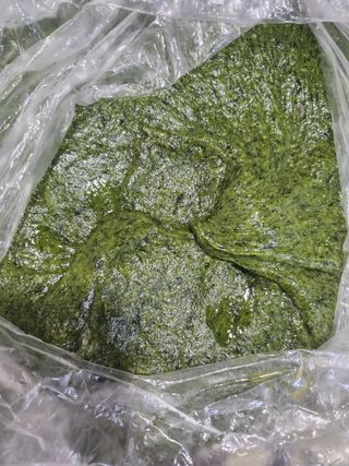 장애경님의 작성글 사진