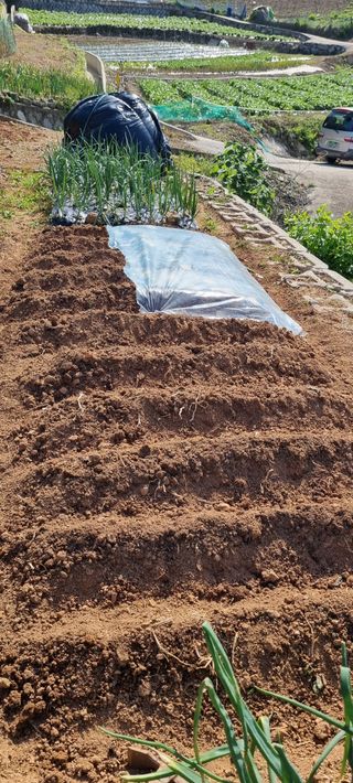 황재철님의 팜이웃과 출근/퇴근 같이해요! · 참여글 작성글 사진