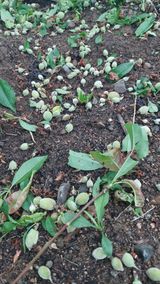 팜모닝 팜이웃과 출근/퇴근 같이해요!·참여글 게시글 이미지