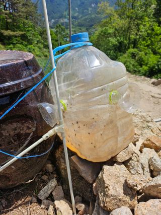 영숙님의 고추 · 영농일지 작성글 사진